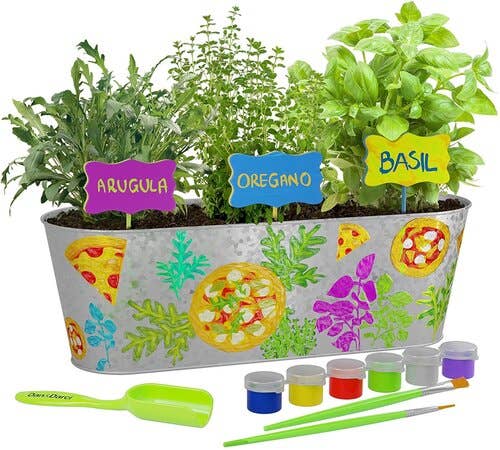 Dan&Darci - Paint and Plant Pizza Herb Growing Kit